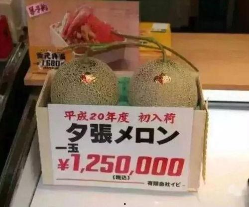 吃瓜娱乐群众1号,揭秘娱乐圈幕后故事  第3张